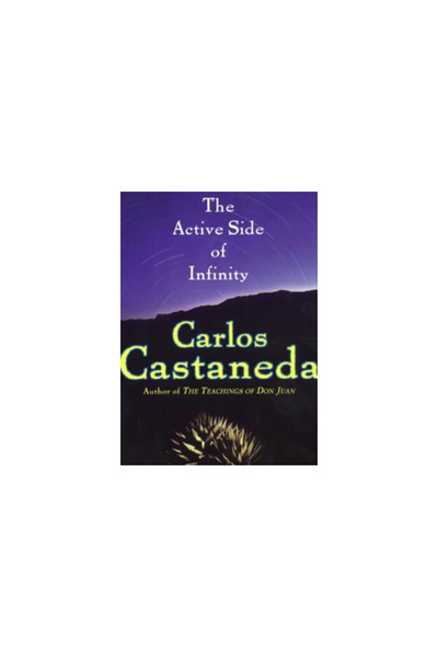 Harper Perennial The Active Side of Infinity