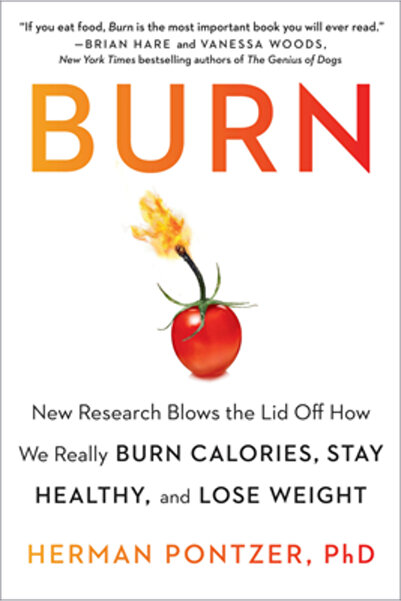 Avery Pub Group Burn: New Research Blows the Lid Off How We Really Burn Calor...