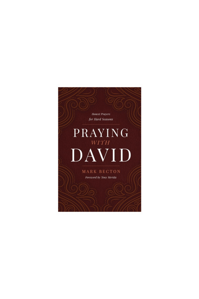 Ambassador Intl Praying with David: Honest Prayers for Hard Seasons