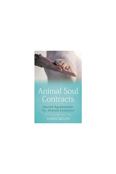 Bear & Co Animal Soul Contracts: Sacred Agreements for Shared Evolution