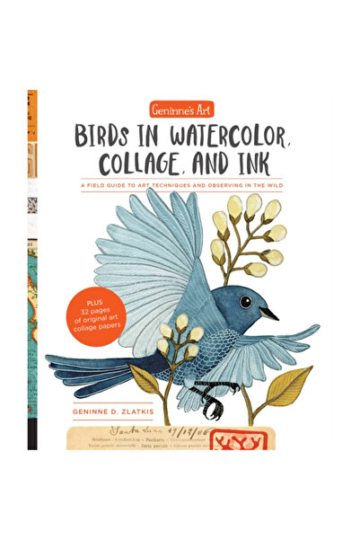 Quarry Geninne's Art: Birds in Watercolor, Collage, and Ink: A Field Guide to Art Techniques and Observing