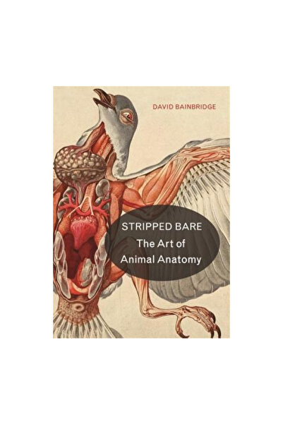 Princeton Univ Pr Stripped Bare: The Art of Animal Anatomy