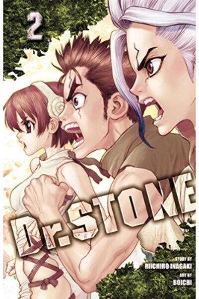 Viz LLC Dr. Stone, Vol. 2