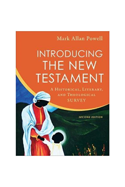 Baker Book House Introducing the New Testament: A Historical, Literary, and T...