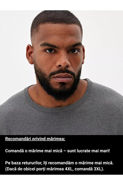 s.Oliver Big Sizes Men's sweater big sizes, with neckline at the base of the neck