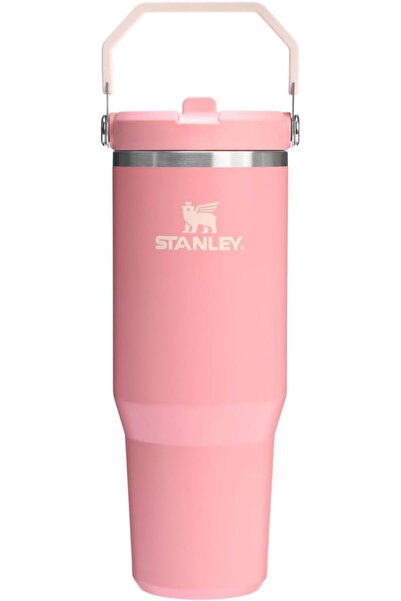 Fancy كوب ستانلي آيس فلو™ القابل للطي | 30 أونصة