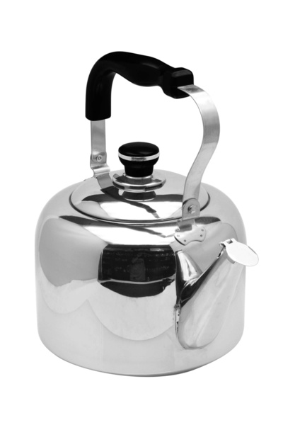 RAJ غلاية شاي فولاذية سعة 4.0 لتر