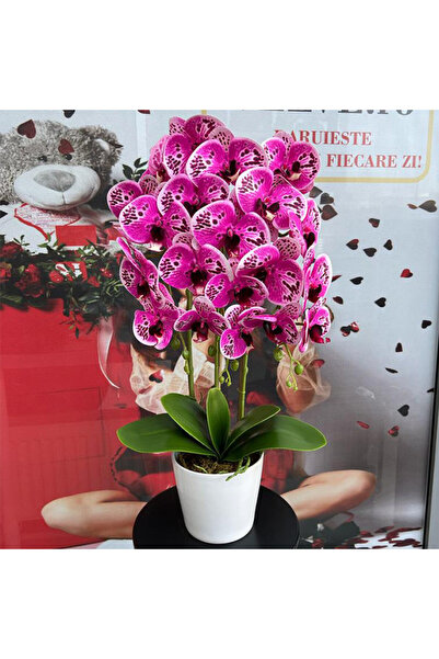 velve Orhideea aritificiala cu aspect in ghiveci ceramic, 68 cm, Roz pestrit