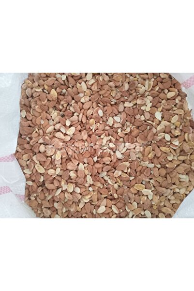 Toptan Kırık Tatlı Kayısı Çekirdeği 25 Kg
