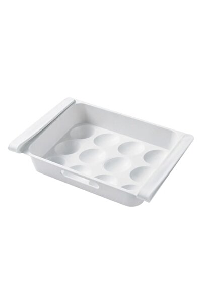 ANTBRO Hanging Refrigerator Egg Tray for 12 Eggs, White Plastic, 26 x 18 x 5 cm
