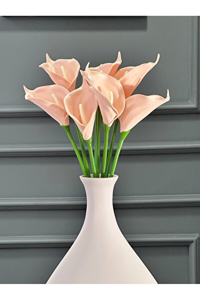 SALMON Wet Gala, No Fade, No Yellowing, Real Textured Bundle of 8