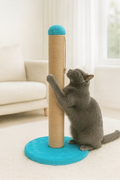 Reyo Pet Round Cat Scratching Platform Blue