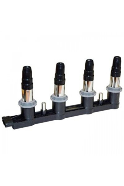 DELPHİ Chevrolet Atesleme Bobını Aveo 1,4 Cruze 1,6 1,8 08>12 - Ce01840-12b1a