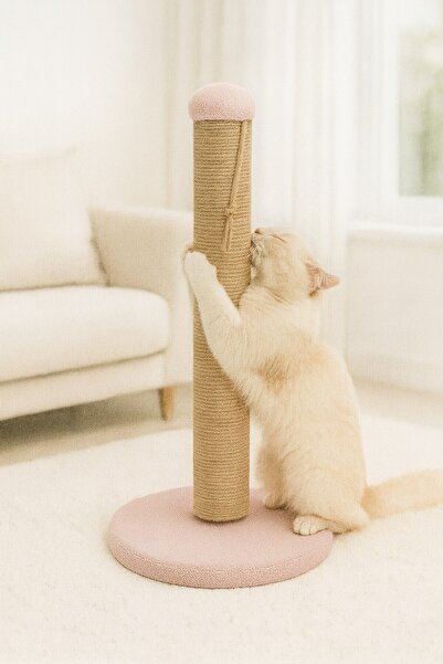 Reyo منصة حك للقطط مستديرة باللون الوردي