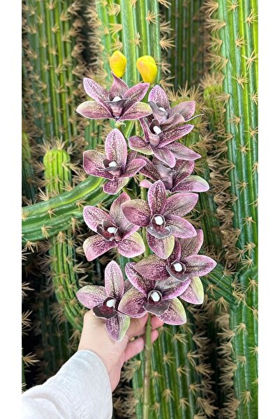 KOZALILAR Islak Dokulu Dekoratif Yapay Singapur Lüks Orkide Dalı