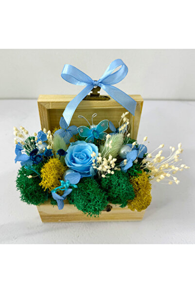 velve Aranjament floral Goodliness,trandafir criogenat,licheni stabilizati, perle,broom,Albastru