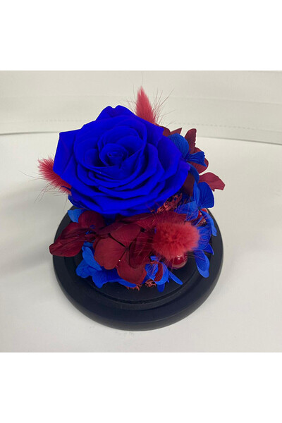velve Trandafir Criogenat in cupola de sticla cu hortensii si licheni, albastru, Albastru