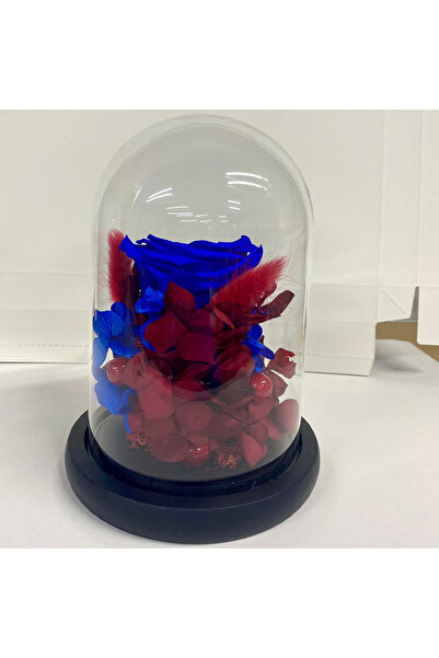 velve Trandafir Criogenat in cupola de sticla cu hortensii si licheni, albastru, Albastru