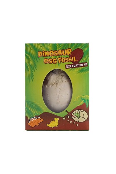 Picodino Set Explorare Oua Fosile Dinozauri – Sapaturi si Descoperiri Amuzante