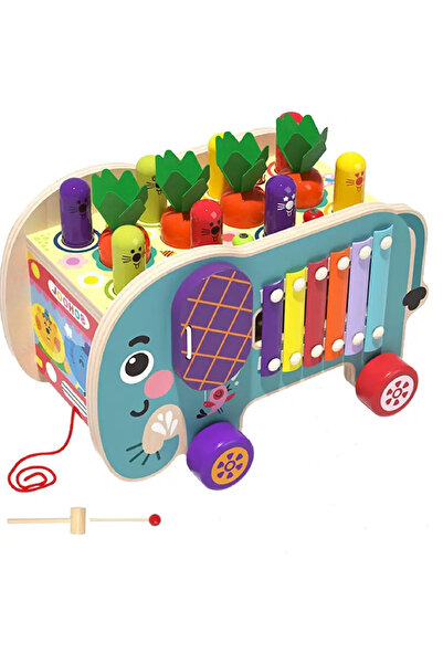 Picodino Interactive Elephant Pull Toy, xylophone and other activities