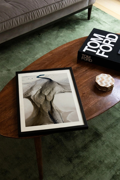 Thetic Majestic Bird - Modern Aesthetic Luxury Premium Unframed Poster!