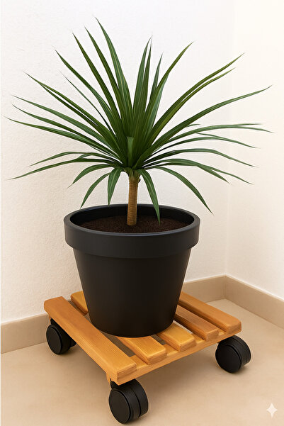 KARAS AHŞAP Ahşap Saksı Altlığı Tekerlekli