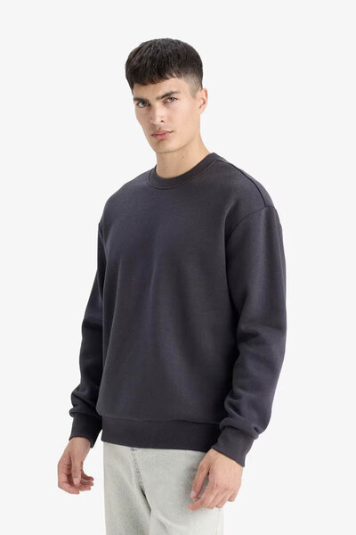 DeFacto Relax Fit Crew Neck Thick Inside Soft Fleece Anthracite Men's Sweatshirt T5139Az/Ar138