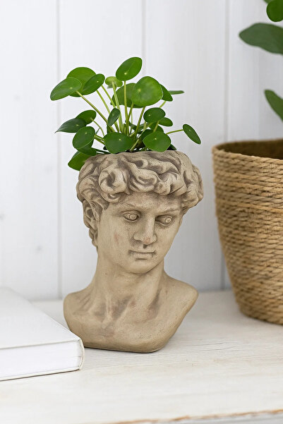 OEM Ghiveci de flori fata din argila, gri, 4x21x13cm