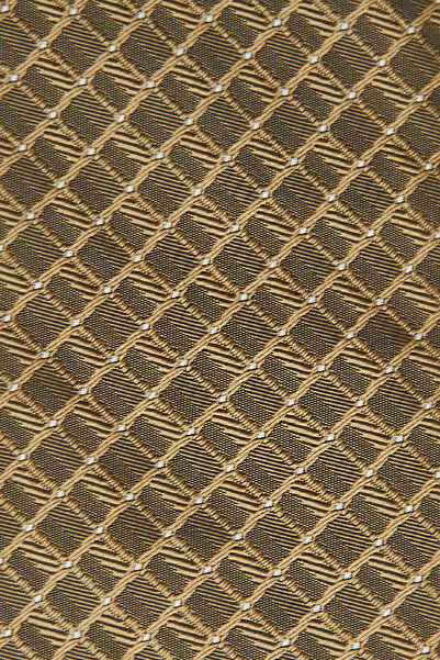 W Collection Beige Silk Tie