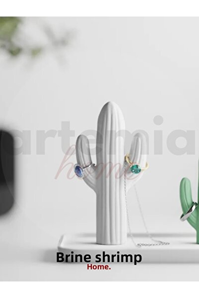 Artemia Home Cactus Ring Jewelry Stand | Cactus Shaped Ring and Necklace Organizer | Minimal Jewelry Organizer