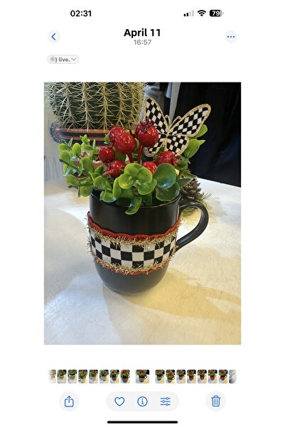 Marrone Kokinali Mug Office Desk Gifts