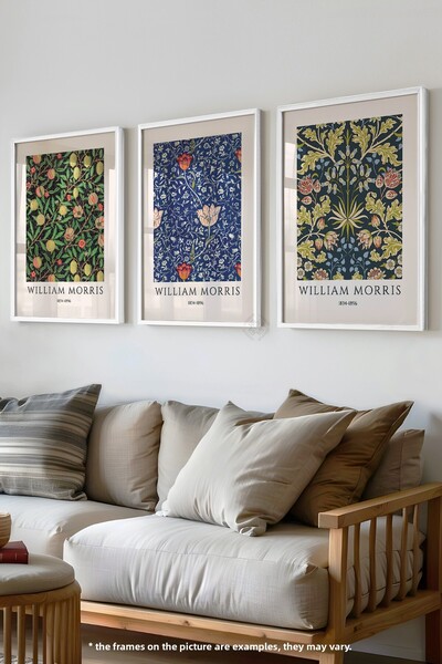 Basquiart Set de 3 postere cu ramă albă Morris, set de picturi nr:45