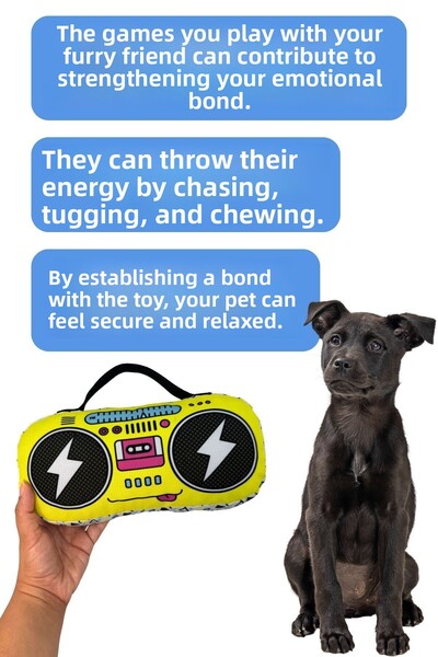 Havhav Plush Radio Dog Toy Special Design Dog Activity Toy