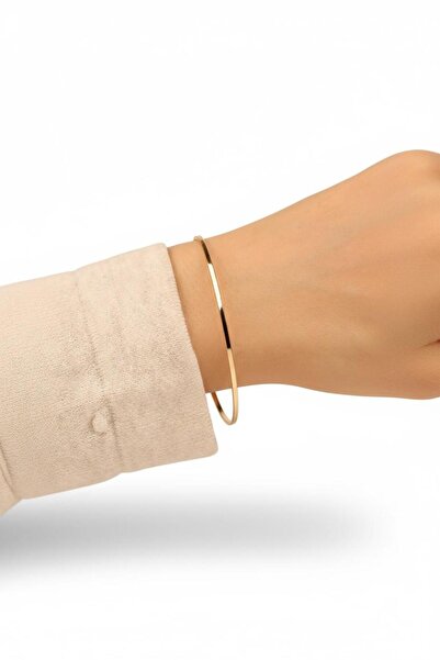 Çgk Çiğdem Gürel Kuyumculuk 2 Adet Ajda Altın Hediyelik Bilezik