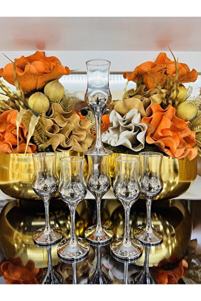 EVRA 6’Lı Titanyum Gümüş Kahve Yanı Su Bardağı