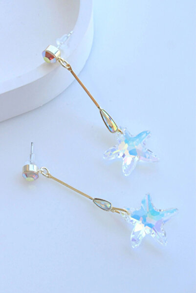 Leo'Stone Vip Series Dangle Zircon Stone Star Design Women's Steel Earrings