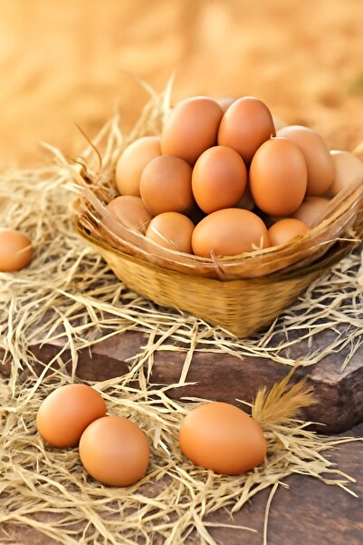 Fakah “Köyden Sofranıza – Organik Serbest Gezen Tavuk Yumurtası (15’li)”