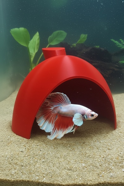 MD×JOA Balık Yuvası Testi Kaplumbaga Yuvası Beta Yuvası Lepistes , Japon , Vatoz , Karides vb Türler