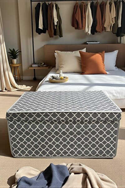 VAYBE 2 Pcs Mega Multi-Purpose Storage Box, Trunk, Box Trunk, Toy Box 40X60X30