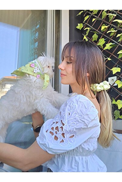 pet Yeşil Toka ve Köpek Fuları Takımı