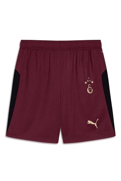 GSStore Galatasaray S.k. Shorts 25/26 İç Saha Parçalı Şort Erkek Futbol Şortu...