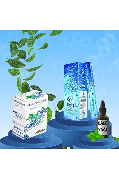 hekimhan bitkisel Ferah Ortam Seti Cool Water Tütsü 20 Çubuk + Okaliptüs Küp ...