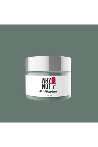 WHY NOT Focus On Multisurface Kendinden Vernikli Akrilik Boya 250ML