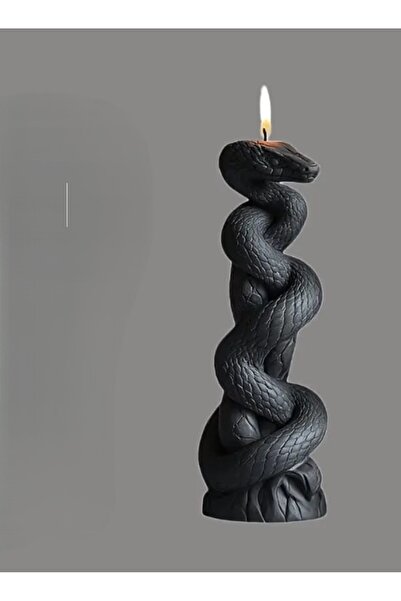 Yaratıcı sanatlar atölyesi Sıradışı Yılan Detaylara Sahip Varak Boyalı Doğal ...