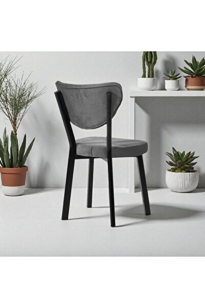 Casafun Set of 4 extra durable chairs, upholstered in Velvet, Gemstone, HoReCa kitchen, living room, black metal frame