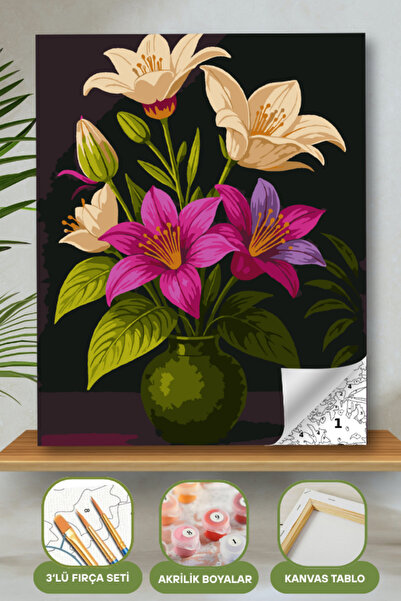 hediye hobim Sayılarla Boyama Ahşap Çerçeveli Kasnaklı Tuval Seti Fırça Boya ...