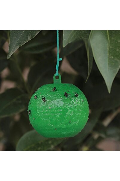 Choice مصيدة ذباب لاصقة صفراء قطعة واحدة خضراء مع مصائد على شكل عصا للحديقة و...