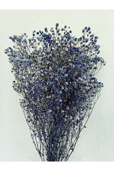 Esse Bahçe Şoklu Cipso Lacivert