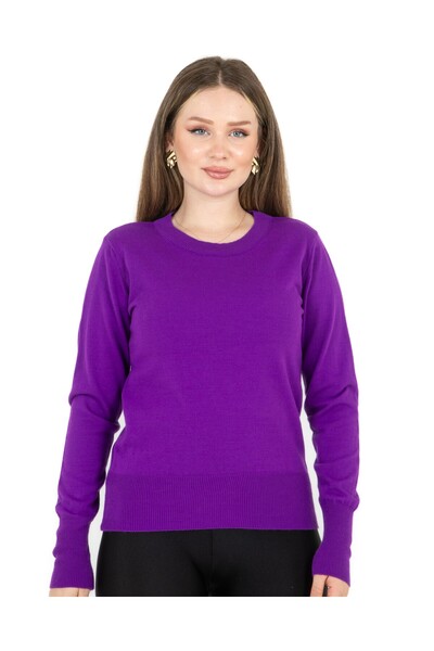Sortie guler rotund Regular Mold basic Tricotaj Pulover Violet