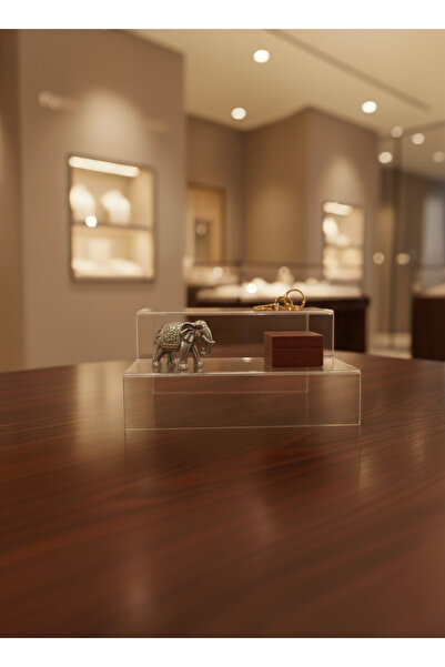 STANDORA Pleksi Akrilik Merdiven Raf 3mm Şeffaf 20cm Genişlik 2 Katlı Stand B...